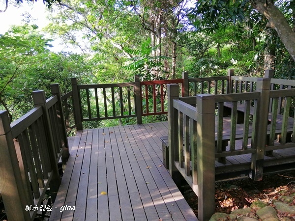 IMG_20200718_163258.jpg IMG_20200718_163258.jpg