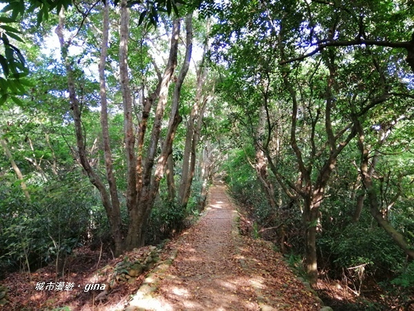 IMG_20200718_163444.jpg IMG_20200718_163444.jpg