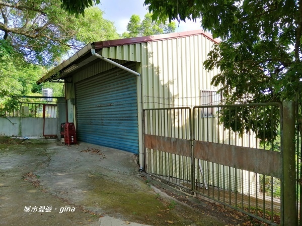 IMG_20200718_163709.jpg IMG_20200718_163709.jpg