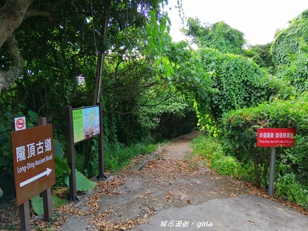 IMG_20200718_165118.jpg IMG_20200718_165118.jpg