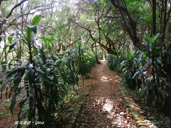 IMG_20200718_171059.jpg IMG_20200718_171059.jpg