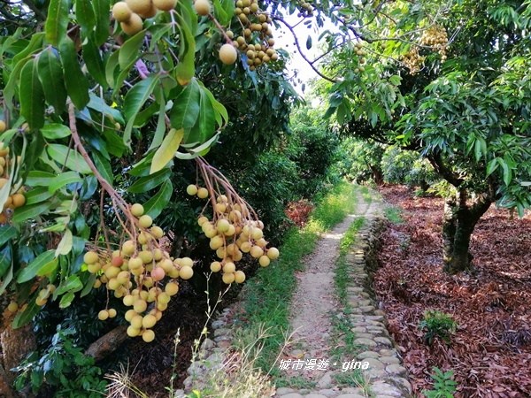 IMG_20200718_171352.jpg IMG_20200718_171352.jpg