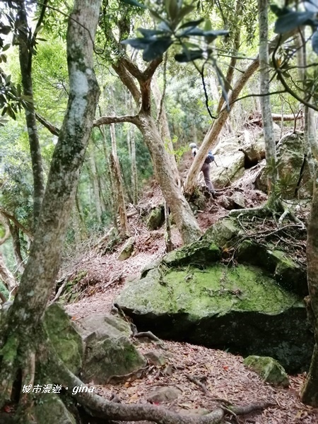 【苗栗南庄】陡上陡下無冷場~台灣富士山。 No34小百岳~加