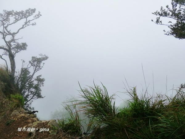 【苗栗南庄】陡上陡下無冷場~台灣富士山。 No34小百岳~加