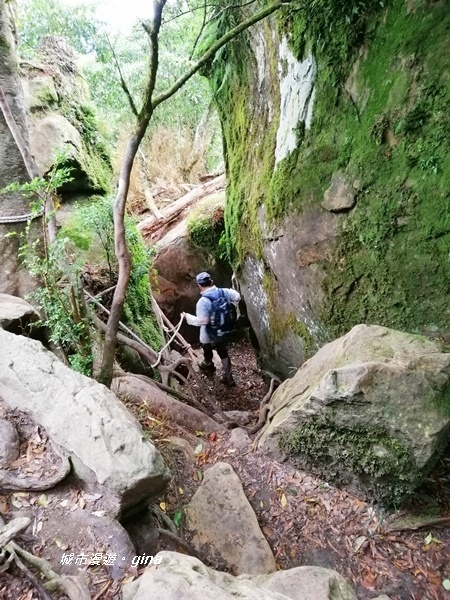 【苗栗南庄】陡上陡下無冷場~台灣富士山。 No34小百岳~加