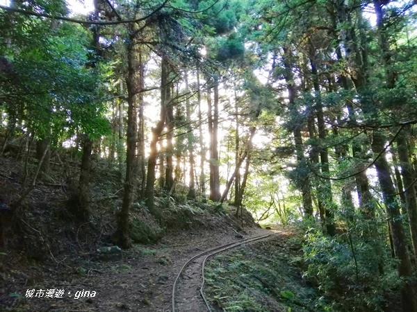 【苗栗南庄】陡上陡下無冷場~台灣富士山。 No34小百岳~加