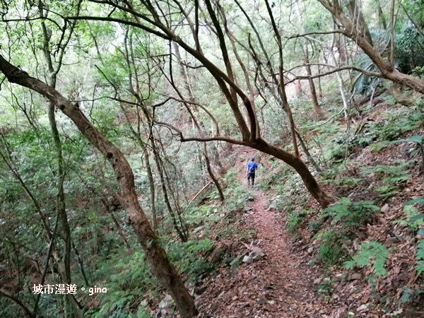 IMG_20200730_124304.jpg IMG_20200730_124304.jpg