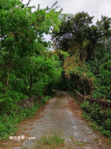 IMG_20200730_132217.jpg IMG_20200730_132217.jpg