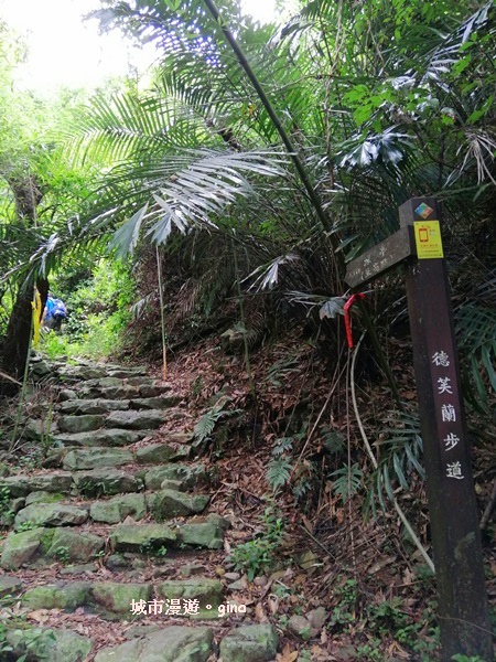 【台中和平】清悠賞景。 德芙蘭生態步道