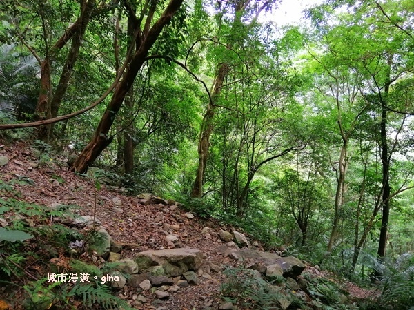 IMG_20200730_134717.jpg IMG_20200730_134717.jpg