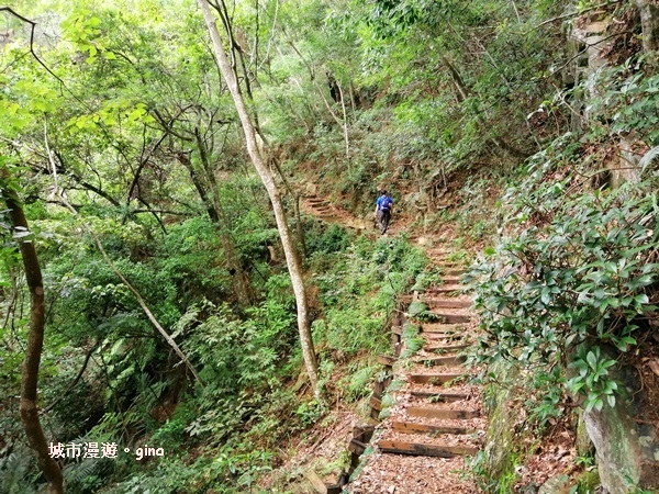 IMG_20200730_140636.jpg IMG_20200730_140636.jpg