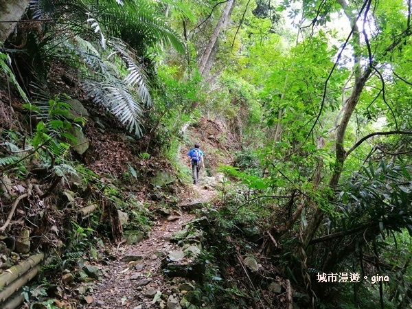 IMG_20200730_140159.jpg IMG_20200730_140159.jpg