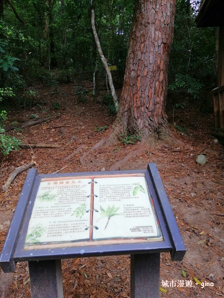 IMG_20200730_142429.jpg IMG_20200730_142429.jpg