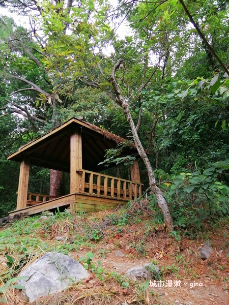 IMG_20200730_142403.jpg IMG_20200730_142403.jpg