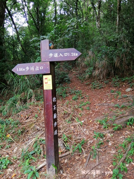 IMG_20200730_142522.jpg IMG_20200730_142522.jpg