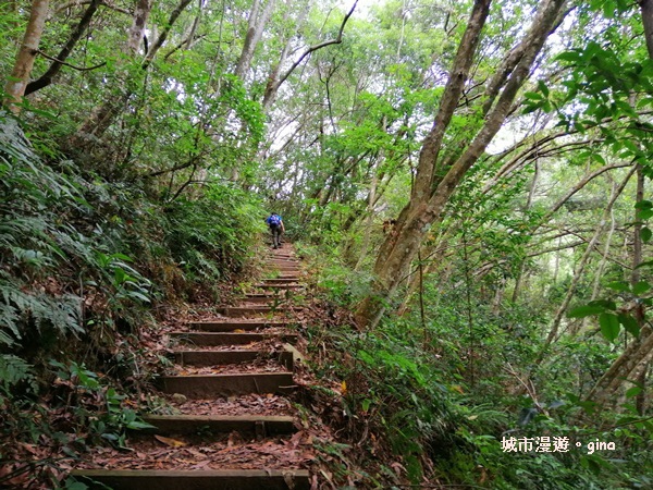 IMG_20200730_141731.jpg IMG_20200730_141731.jpg