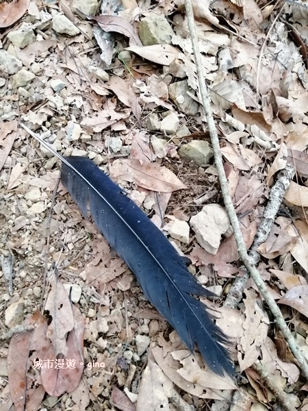 IMG_20200730_151717.jpg IMG_20200730_151717.jpg