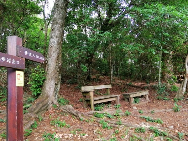 【台中和平】清悠賞景。 德芙蘭生態步道