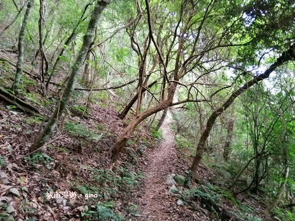 IMG_20200730_152038.jpg IMG_20200730_152038.jpg