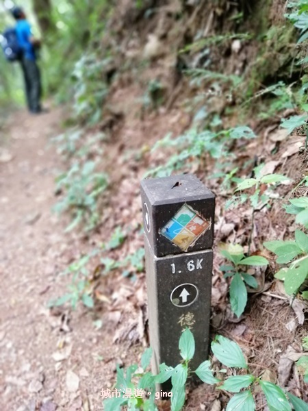 IMG_20200730_152122.jpg IMG_20200730_152122.jpg