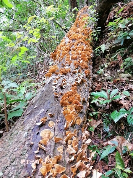 IMG_20200730_152312.jpg IMG_20200730_152312.jpg