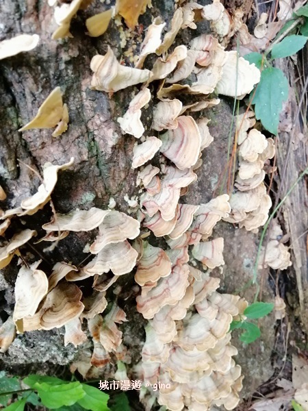 IMG_20200730_152246.jpg IMG_20200730_152246.jpg