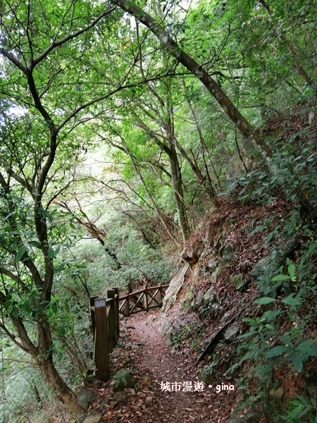 IMG_20200730_152844.jpg IMG_20200730_152844.jpg