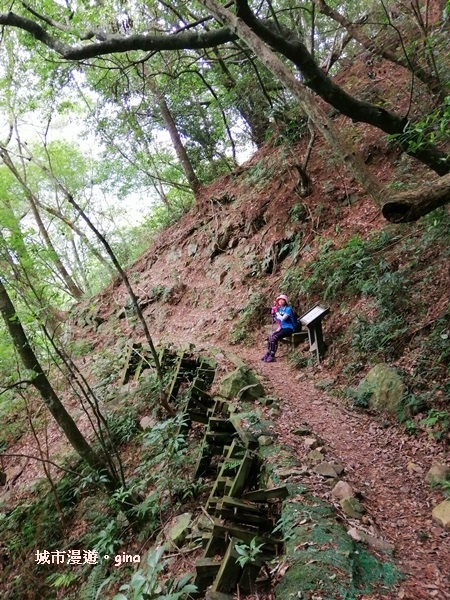 IMG_20200730_153213.jpg IMG_20200730_153213.jpg