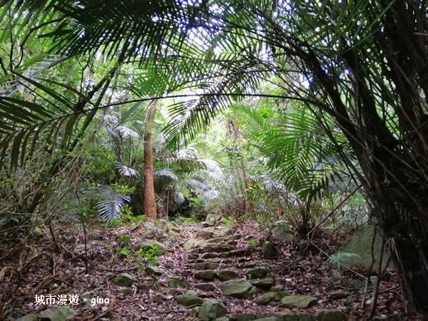 【台中和平】清悠賞景。 德芙蘭生態步道