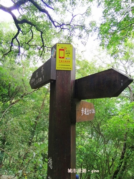 IMG_20200730_153507.jpg IMG_20200730_153507.jpg