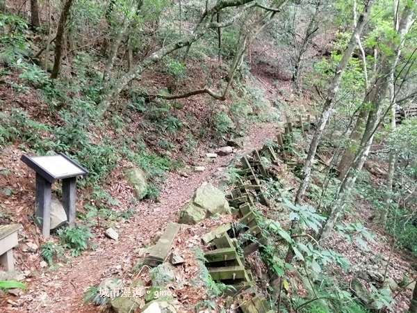 【台中和平】清悠賞景。 德芙蘭生態步道