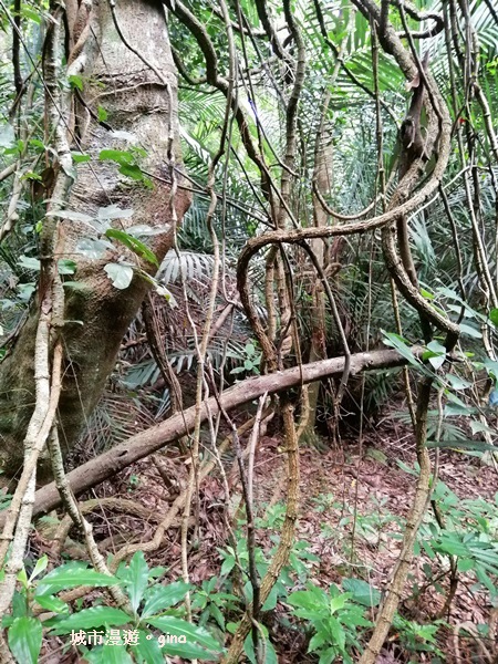 IMG_20200730_155107.jpg IMG_20200730_155107.jpg