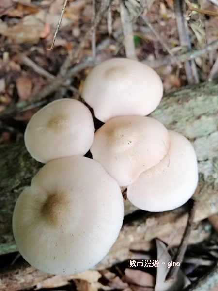 IMG_20200730_155303.jpg IMG_20200730_155303.jpg