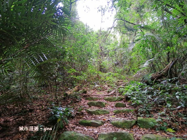 IMG_20200730_155437.jpg IMG_20200730_155437.jpg