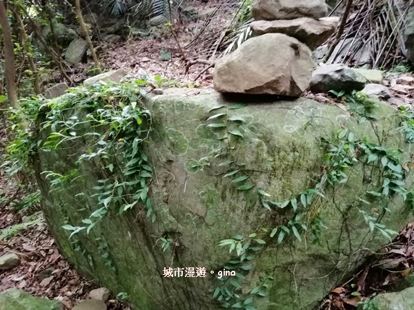 【台中和平】清悠賞景。 德芙蘭生態步道