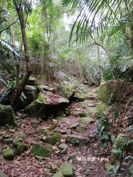 IMG_20200730_155750.jpg IMG_20200730_155750.jpg