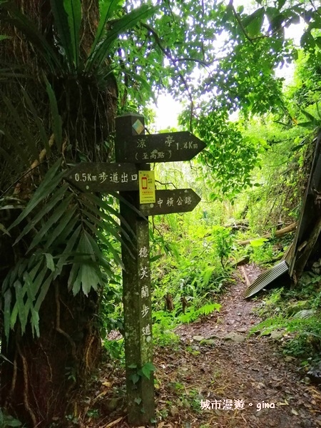 IMG_20200730_160422.jpg IMG_20200730_160422.jpg