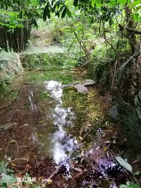 IMG_20200730_160240.jpg IMG_20200730_160240.jpg