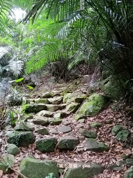 IMG_20200730_155954.jpg IMG_20200730_155954.jpg