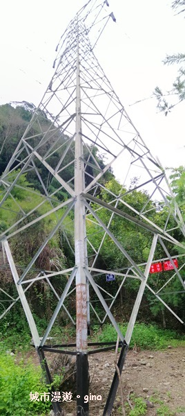 IMG_20200730_160922.jpg IMG_20200730_160922.jpg