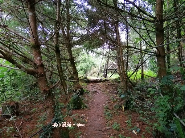 【台中和平】清悠賞景。 德芙蘭生態步道