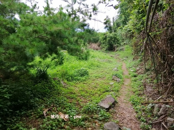 IMG_20200730_161420.jpg IMG_20200730_161420.jpg