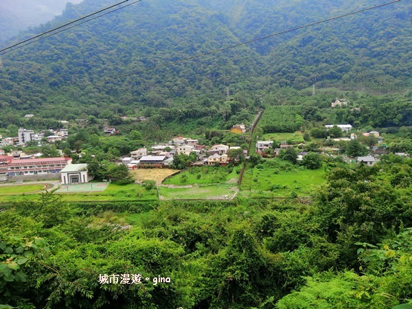 IMG_20200730_163338.jpg IMG_20200730_163338.jpg