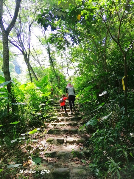 【彰化社頭】四歲娃也能走的步道。 清水岩步道群~18彎古道