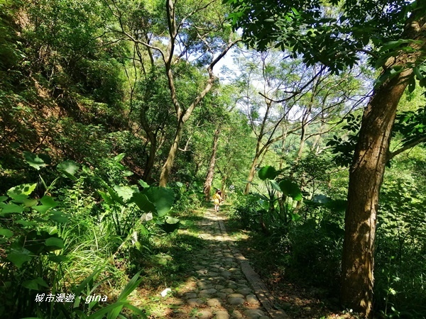 【彰化社頭】四歲娃也能走的步道。 清水岩步道群~18彎古道