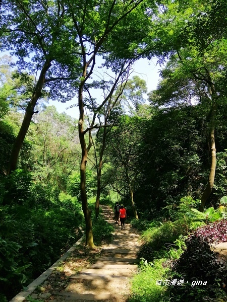 【彰化社頭】四歲娃也能走的步道。 清水岩步道群~18彎古道