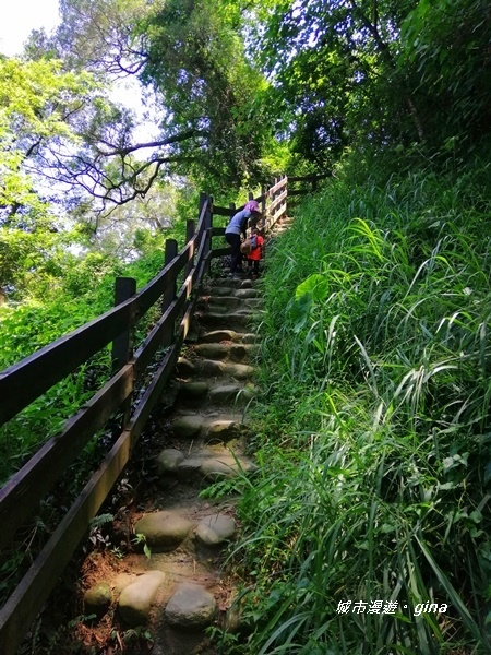 【彰化社頭】四歲娃也能走的步道。 清水岩步道群~18彎古道