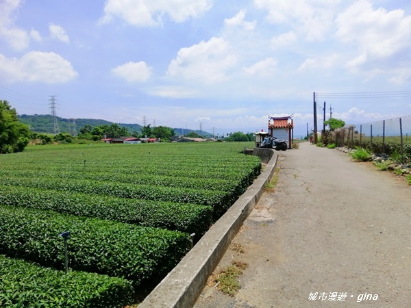 【彰化社頭】四歲娃也能走的步道。 清水岩步道群~18彎古道