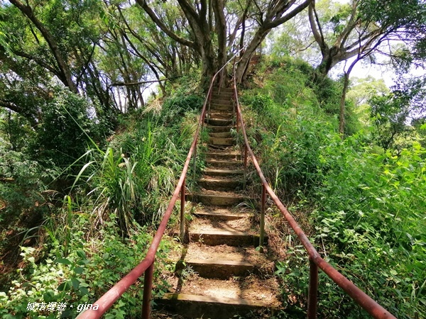 【彰化社頭】陡直天梯好視野。 清水岩步道群~中央嶺造林步道~