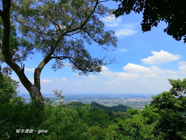 【彰化社頭】陡直天梯好視野。 清水岩步道群~中央嶺造林步道~